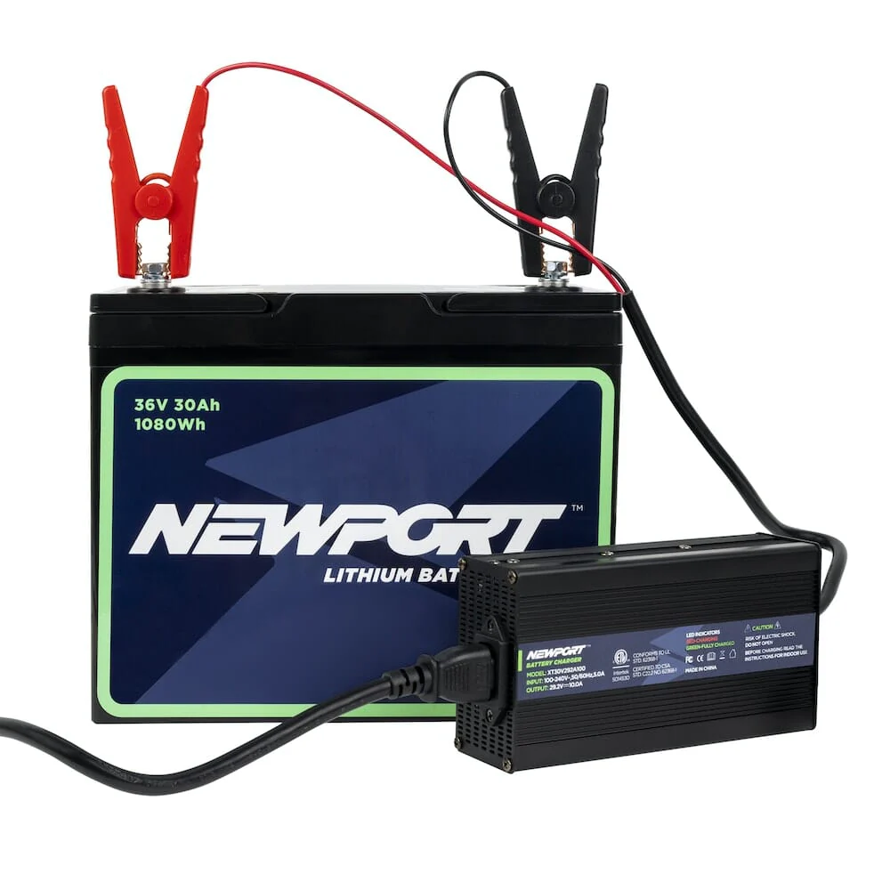 24V Battery Charger - Image 4